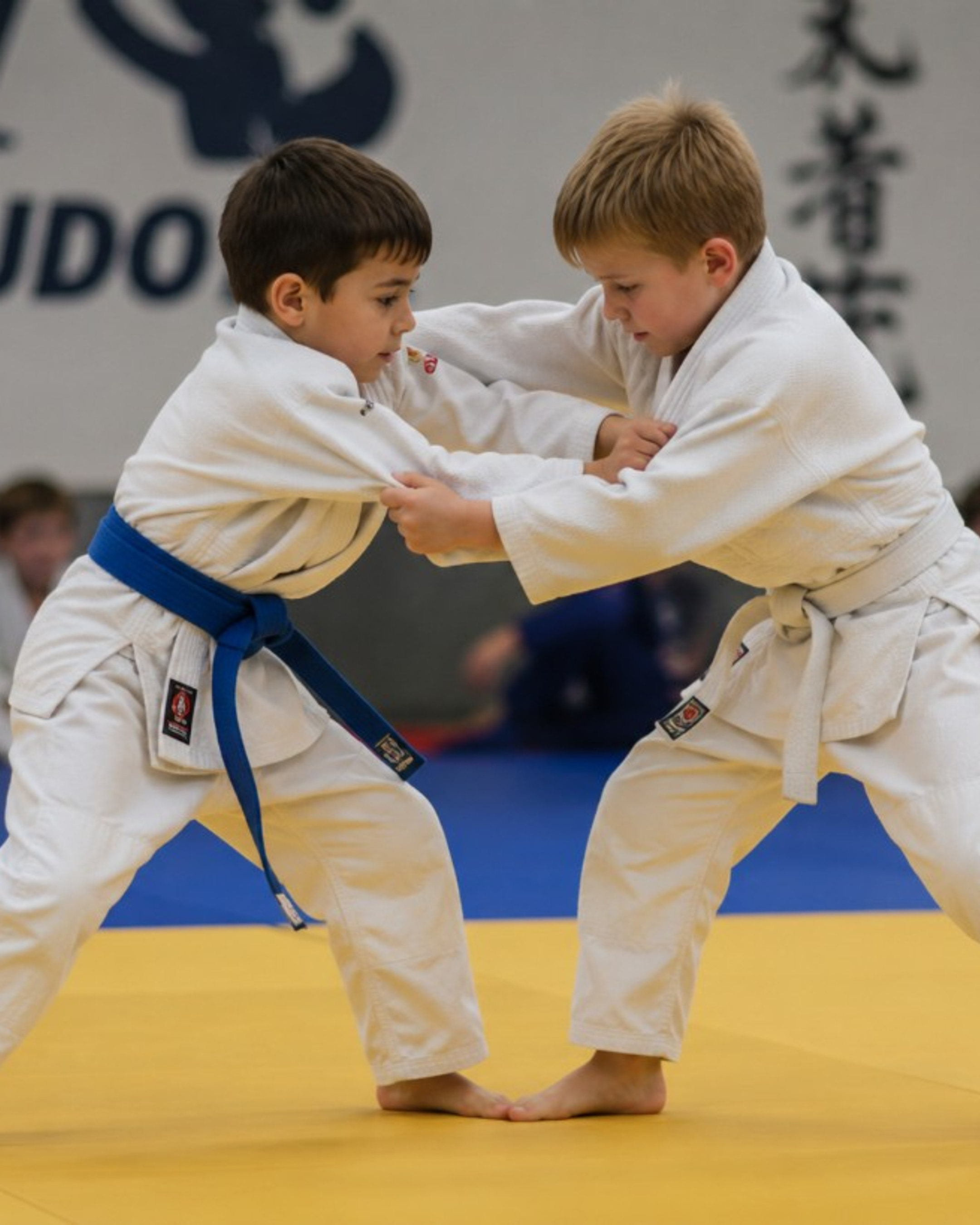 Crianças treinando judô no tatame da ANIMA